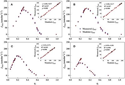 Determinants of photochemical characteristics of the photosynthetic electron transport chain of maize